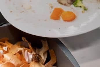 restaurant recycling sheffield|Sheffield to begin trial of food waste collection .